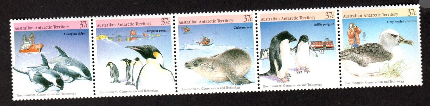 British Commonwealth